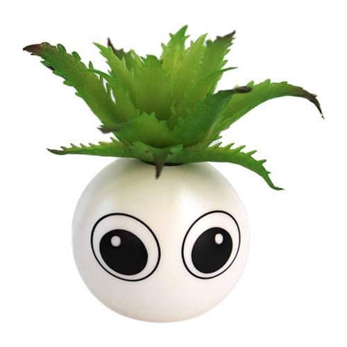 BEMIRO Künstliche Aloe Vera Pflanze Mini - Motiv Augen