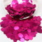 Paillettes rotonde grandi colorate 10/15/20/25mm Paillettes di paillettes sciolte in PVC con foro laterale per cucire fai da te Ciondolo per scrapbooking 10g-rosa-20mm 10 grammi