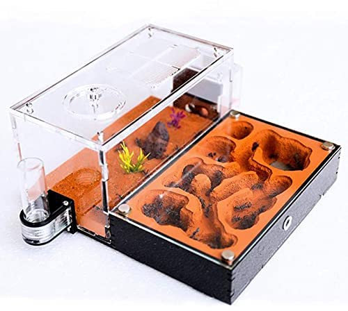 BGFYUSF Flache Ameisenfarm aus Acryl, großes Gips-Ameisennest, großer Gips-Ameisenhaufen für Haustiere, Insektenschloss, Werkstatt, Villa, Ameisenhaus mit Futterbereich (B+ 22,3 x 19,7 x 9,5 cm)