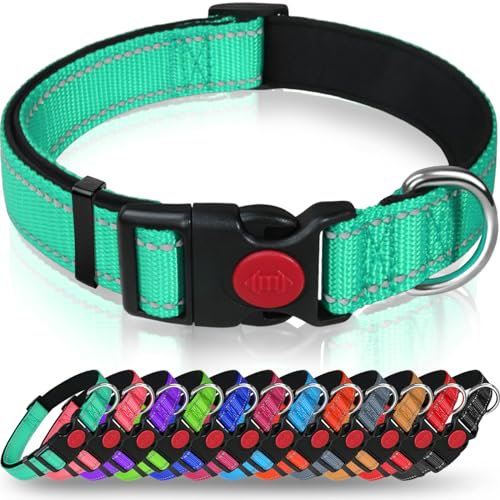 Taglory Hundehalsband, Weich Gepolstertes Neopren Nylon Hunde Halsband für Kleine Hunde, Verstellbare und Reflektierend für das Training, Türkis