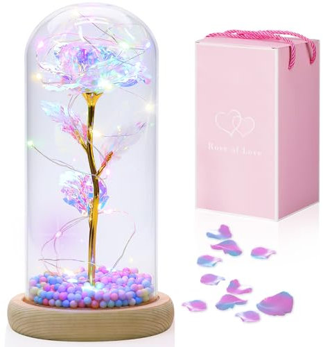 Qoolife Die Schöne und das Biest Rose, Ewige Rose im Glas mit LED-Lichter für Sie, Rose in Glas Geschenk auf Weihnachten, Valentines, Erntedankfest, Konservierte Blume Geschenk zum Jahrestag