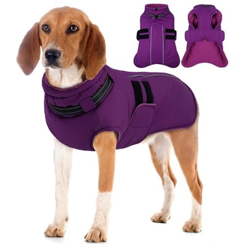 IECOii Winterjacken & Wintermäntel Für Hunde,Warme Hundejacke Winter,Wasserdichter Hundemantel,Verstellbarer Hundemantel Winter,Reflektierende Hundejacke Wasserdicht,Gürtel WinterHundemantel,Lila,L