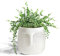 GeLive Head Plant Pot Succulent Planter with Drainage Hole Modern Statue Flower Pot Face Plant Vase Windowsill Box Art Home Decoration Indoor Outdoor (White)
