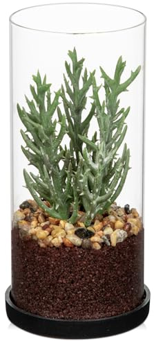 Arborus Künstliche Sukkulenten Deko 20 cm Klein Kunstpflanzen Tisch Deko | Sukkulenten Künstlich im Glas Künstliche Pflanzen Regal Dekor Dekopflanzen Klein für Büro Wohnzimmer Bad