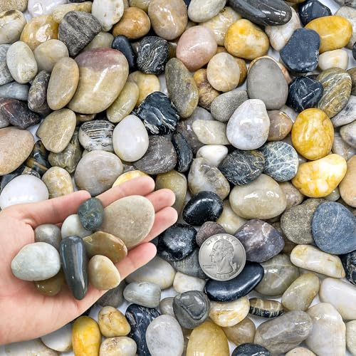 CHEOAR Kieselsteine 8,2 kg (18 lb) Natursteine 1-2 cm, Dekosteine für Vasen, Garten, Aquarium & Pflanzen, Zierkies, Deko Steine für Gartenarbeit, Teich und Landschaftsbau