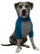 Tooth & Honey Hundepullover für große Hunde, Pitbull, Größe L, M, XL, Blaugrün und Grau