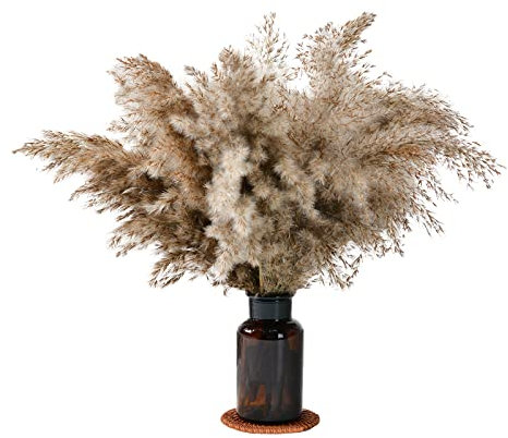YXCHUA Pampasgras 20 Stück 45 cm Natürliches-Trockenblumen Dekor Groß - Können für Hochzeitsdekoration und Familiendekoration Verwendet Werden.