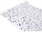 DecoMeister Vinilos Autoadhesivos Para Muebles Imitacion Azulejos Azules Papel Adhesivo Para Cocina Pared Puertas Mesa Armario Láminas Decorativas Decoracion En Rollo Para Forrar 67,5 x 1500 cm