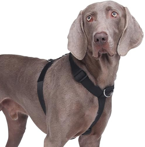 No Pull Dog Harness, Heavy Duty Tactical Dog Harness, Adjustable Soft Padded Pet Vest Harnesses for Medium and Large Dogs Training Walking, Lightweight & Escape-Proof (Black, M)