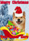 Giftsforall nnnc269 Weihnachtskarte, Motiv: Shiba Inu Hund, A5, personalisierbar