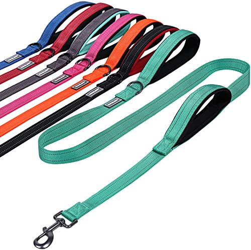 VIVAGLORY Twingrip Dog Lead, Double Handle Dog Lead for Training & Walking with Traffic Handle & 2 Loop, Traffic Control Reflective Heavy Duty for Puppy Pet, 1.5m x 2.5cm, Turquoise
