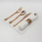 Disnace 10 Pack Plastic Cutlery Set, Elegant Plastic Silverware Set, Reusable Flatware Set, Tableware Party Cutlery, Camping Cutlery Combo with Spoon Knife Fork Sets Wrapped in White Napkin (Rose)