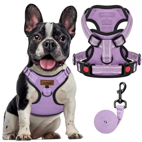 FAYOGOO Hundegeschirr, Kein Choke Front Clip Hund Reflektierendes Geschirr, No-Pull Verstellbare Weiche Gepolsterte Haustier Weste Set für kleine Mittlere Große Hunde Gehen (Lila, S)
