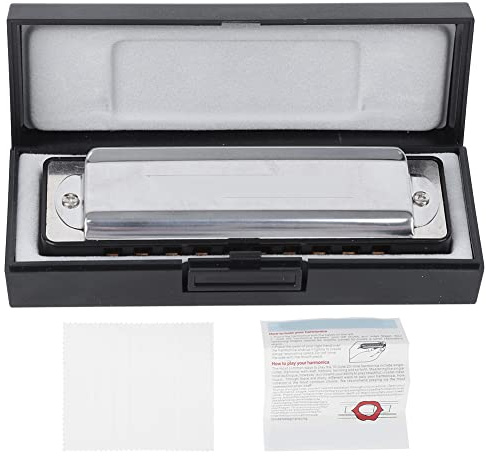 Blues Harmonica 10 - Loch Mundharmonika F - Dur, Phosphorbronze Zungen, ABS - Korpus, Edelstahlcover - Klare Klangqualität, Rostfrei, Ideal für Anfänger und professionelle Musik (Schwarz)