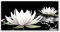 Tulup Impression sur Verre Trempé 140x70cm - Plastique Imprimés Tableau Mural Moderne Décoration Déco Design 4 Crochets - Fleurs Floral
