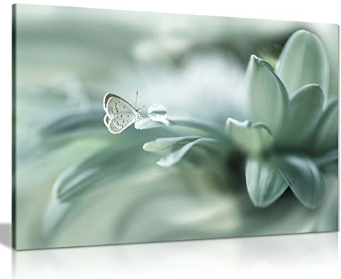 Panther Print Fine Art Prints Dew Drop & Green Pastel Butterfly Artistic Framed Canvas Print, Pictures for Home Walls, Bedroom, Living Room & Bathroom Decor 91x61cm (36x24in)