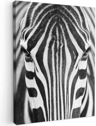 MuchoWow© Bilder 50x70 cm Wohnzimmer Deko Modern Wandbild Foto auf Leinwand Bild Schlafzimmer Room Decor Geschenke Schwarzweiss - Weiss - Zebra - Tiere - Schwarz und Weiß - Porträt