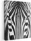 MuchoWow© Bilder 50x70 cm Wohnzimmer Deko Modern Wandbild Foto auf Leinwand Bild Schlafzimmer Room Decor Geschenke Schwarzweiss - Weiss - Zebra - Tiere - Schwarz und Weiß - Porträt