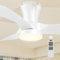 Ventilador de Techo con Luz, 80CM, 3000K-5000K Regulable, 7 Velocidades, Aspas Reversible, 2200LM Ventiladore de Techo y Mando APP, DC Silencioso Temporizador Memoria, para Dormitorio, Blanco