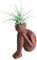 Semi di GERMINAZIONE: Denker 2.0 Keramik Vase/Wohnen Luft-Pflanze - Orange - 2 x 2 x 4 Live-Tendances