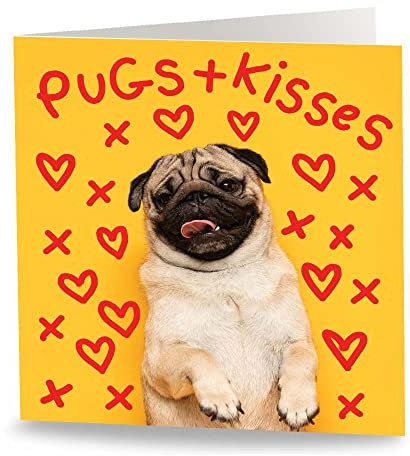 Maturi Lustige Grußkarte, Motiv Mops and Kisses, innen blanko