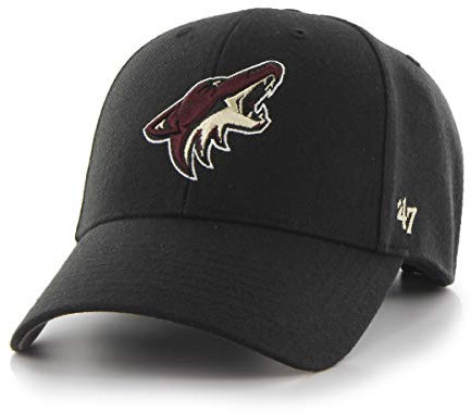 '47 Arizona Coyotes Black NHL Most Value P. Cap One-Size