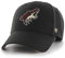 '47 Arizona Coyotes Black NHL Most Value P. Cap One-Size