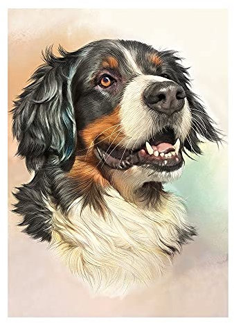 Ideen mit Herz 5D Diamond Painting | Diamant Painting Set | Motiv: 35 x 25 cm | Leinwand: 30 x 40 cm | runde Steinchen | inkl. Zubehör | Verschiedene Bilder zur Auswahl (Berner Sennenhund)