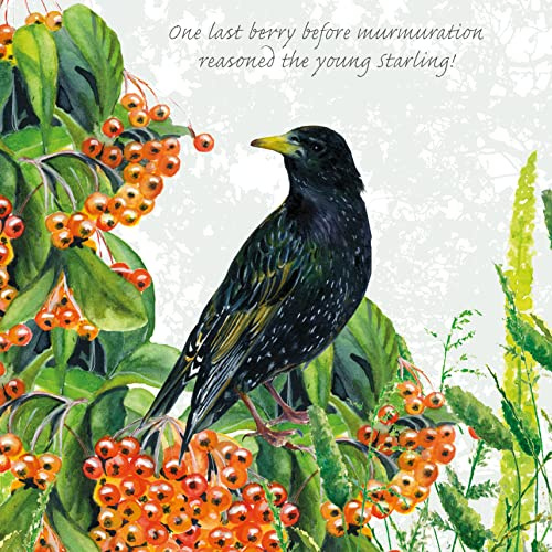 Tuppence A Bag Starling One Last Berry Bird Themed Bird Art Greeting Card Blank TAB20
