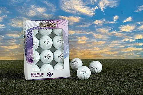 Procycled 12x Bridgestone Brand Mix | Beste Qualität | Lakeball Golfball