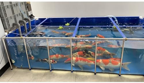 Grande Piscina per Acquario da Giardino con Pannello di Visione Trasparente - Tela in PVC con Struttura in Acciaio e Valvola di Scarico - Laghetto per Pesci da Esterno per l'Allevamento in Serbatoio