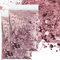 GIUSOBG 100g Glitter Polvere, 3 Dimensioni Mescolare Paillettes Polvere Glitterata, Glitter per Artigianato per Lavoretti Creativi Creazione Artigianato Fai da Te (Rosa Scuro)