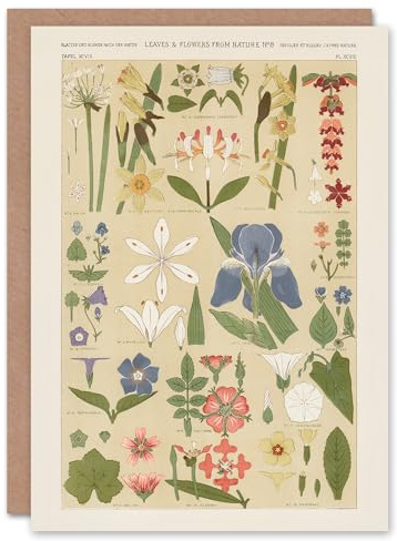 Artery8 Owen Jones Art Card Leaves and Flowers From Nature No 8