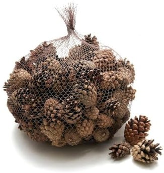 NaDeco Sylvestris-Zapfen, verpackt mit 1 kg, ca. 150 Stück | Waldkiefer-Zapfen | Pinus sylvestris | Kieferzapfen | Tannenzapfen | Zapfen-Deko | Fichtenzapfen | Deko-Zapfen | Zapfen zum Basteln