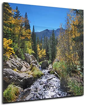 Canvasfly Küchenrückwand-Deko Glaswand für Küche, Wandpaneele aus Hartglas, Moderner Spritzschutz mit Baum-Motiv, Wandmontage, 60x70 cm, Unbehandelt