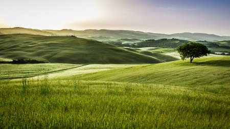 adrium AluVerbund-Bild 140 x 80 cm: Sonnenaufgang über den grünen Feldern in der Toskana(30433292)