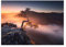 Displate - Poster aus Metall - Magnet-Montage - World Class Photos - Japan - Lonely Tree 45 cm x 32 cm