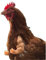 Strong Combat Chicken Arms - schelmisches Hühnerarmspielzeug - Lustiges Geschenk mit Lachen