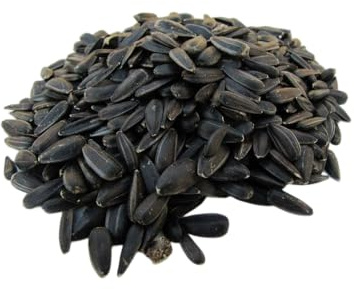 Sonnenblumenkerne schwarz 12,5kg, aus aktueller regionaler Deutscher Ernte