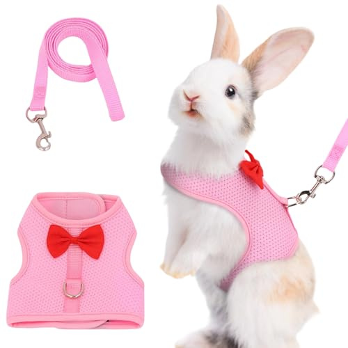 LOMSUXA Correa para conejos enanos, arnés con correa, accesorios conejos, vajilla peto ajustable, enanos (rosa, M)
