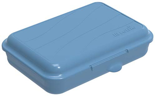 Rotho Fun flache Vesperdose 0,45l mit Klickverschluss, Kunststoff (PP) BPA-frei, blau, 0,45l (16,0 x 11,0 x 4,0 cm)