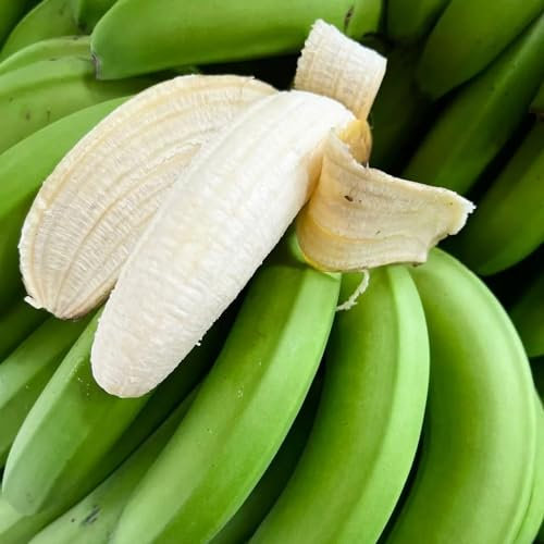 200 pcs Bananenbaum Winterhart Samen, seed, pflanzen balkon Winterharte Bananensamen, säulen obstbäume, pflanze obstsamen & -pflanzen, kletterpflanzen winterhart obstbäume kaufen saatgut