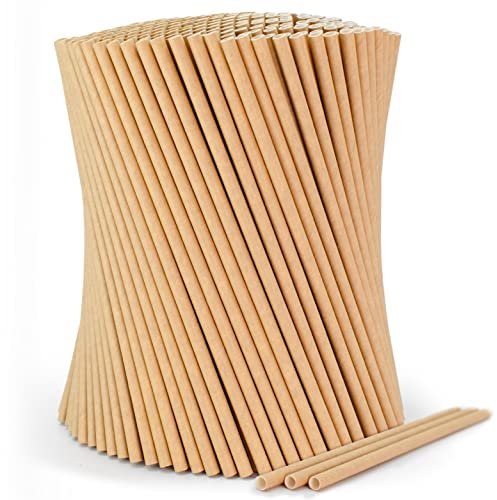 wisefood Lot de 1000 pailles en papier kraft biodégradables (10 x 100 pièces). 6 mm x 20 cm, sans PLA/PE, pailles jetables biodégradables en papier kraft solide