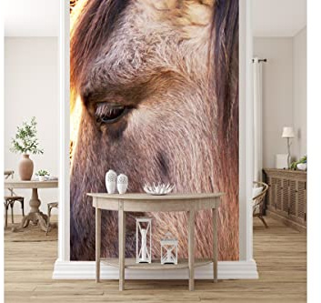 Glücksvilla - Wildpferd 1 - Foto-Tapete, selbstklebend 120 x 300 cm BxH