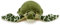 Zappi Co Weich gefülltes Kuscheltier für Kinder Plüschtier (20-22CM) Safari-Tiere Kollektion Plüschteddy Neugeborenes erstes Kind