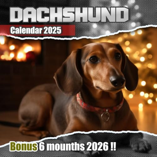 Dachshund Calendar 2025-2026: 18 Months of The Animal from Jan 2025 to Jun 2026|Great Gift For Organizing & Planning, US Holidays|Kalender Calendario Calendrier