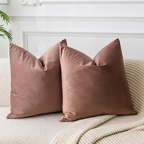 JUSPURBET Marmelade Samt-Kissenbezüge 65cmx65cm 2er-Set für Wohnzimmer Couch Sofa Schlafzimmer Dekorative Weiche Kissenhüllen mit unsichtbarem Reißverschluss