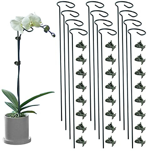 Lunhans Pflanzenstützstäbe mit 24 Pflanzenclips, Einzelstiel-Stützpfahl, Pflanzenkäfig, Stützring für Gartenblumen, Rose, Tomaten, Pfingstrosen, Lilien, Rose, Kräuter, Gemüse, 12 Stück