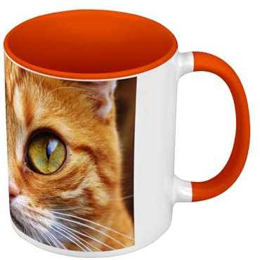Mug de Couleur Qualité Premium Orange - Chat Botte Chat Roux Grands Yeux Mignon - Tasse avec anse et intérieur de couleur
