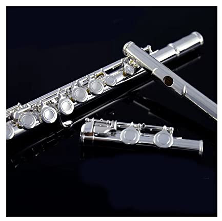 flöte Querflöte Einsteiger Einsteiger Musikinstrument 16 Offene Und Geschlossene Löcher Versilberte Primärpfeife (Color : 16 Close)